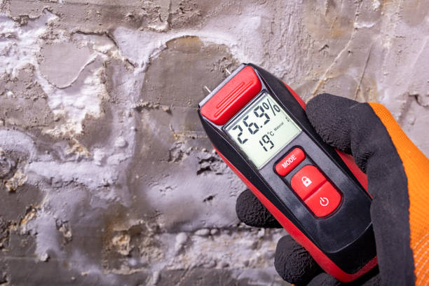 Best Local Mold Removal Service  in Windsor Heights, IA