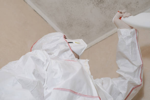 Best Residential Mold Removal  in Windsor Heights, IA