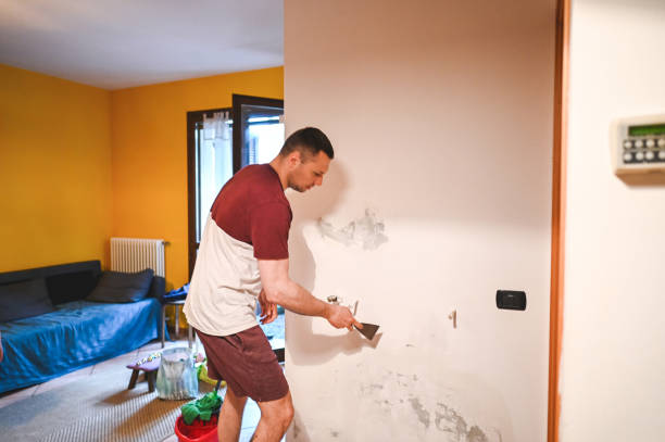 Best Toxic Mold Removal  in Windsor Heights, IA